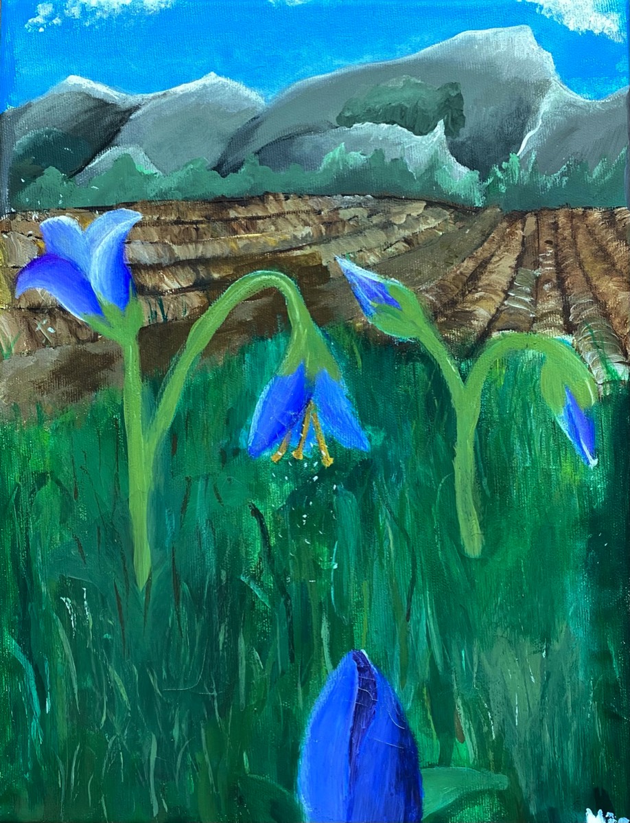 Mia Schulte, 13 Jahre, Der Frühling kommt, Acryl